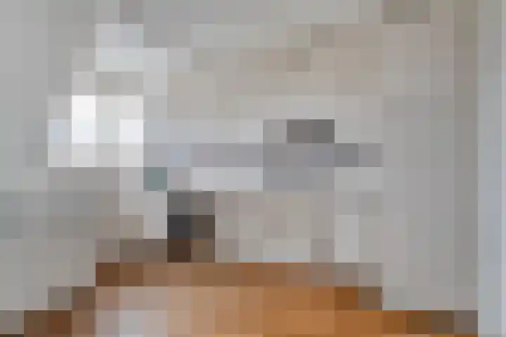 Kedingen 18 Wierden thumbnail 13