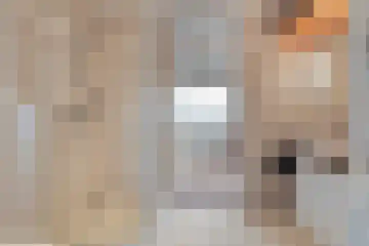 Kedingen 18 Wierden thumbnail 27