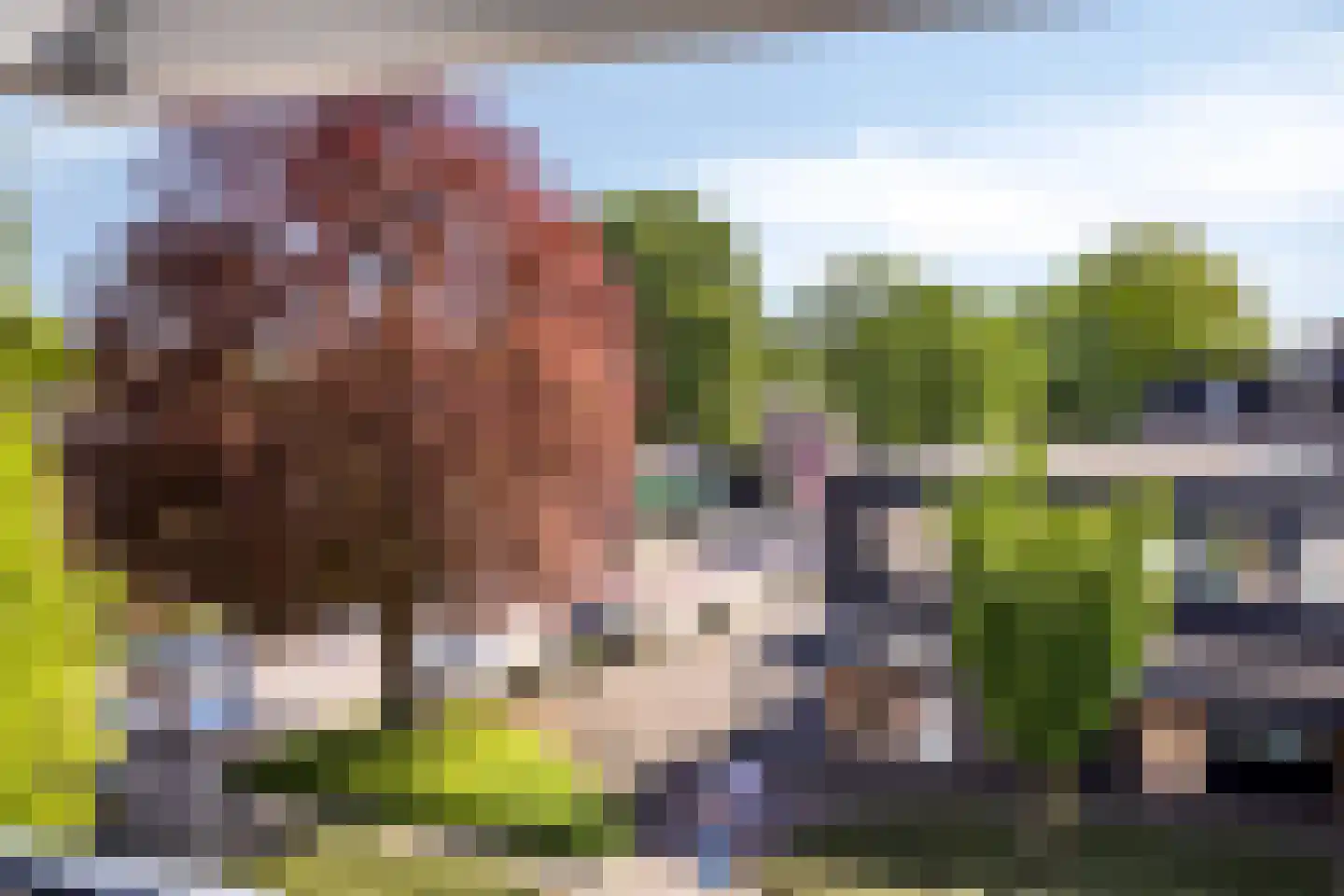Kedingen 26 Wierden thumbnail 22