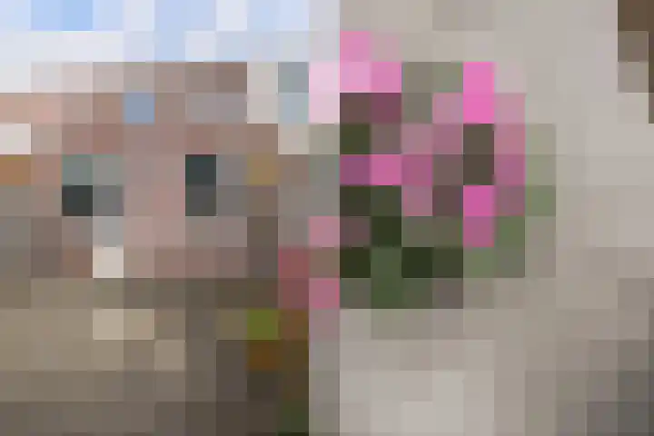 Kedoestraat 12 Haarlem thumbnail 16