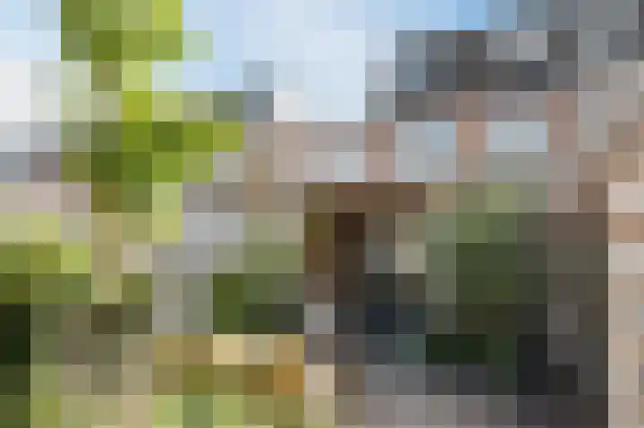 Kedoestraat 25 Haarlem thumbnail 21
