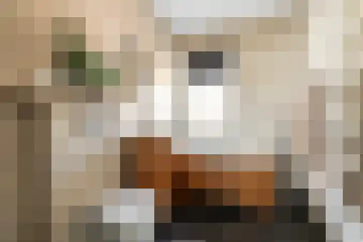 Kedoestraat 38 Haarlem thumbnail 20