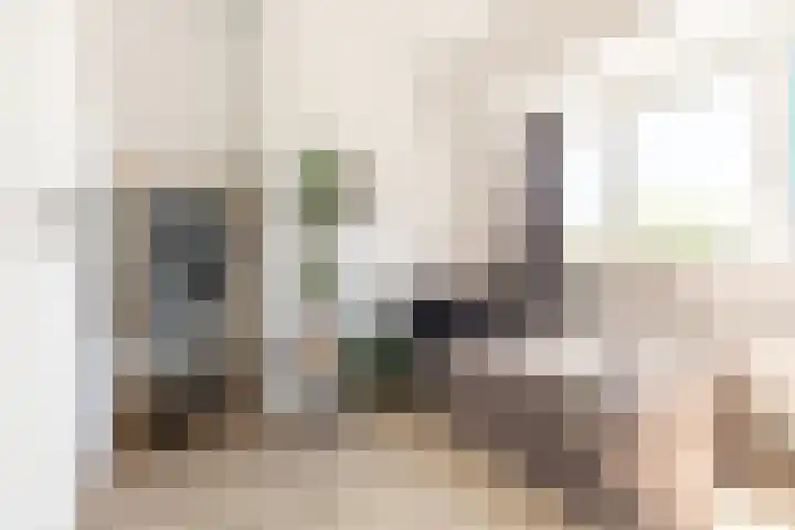 Kedoestraat 38 Haarlem thumbnail 22
