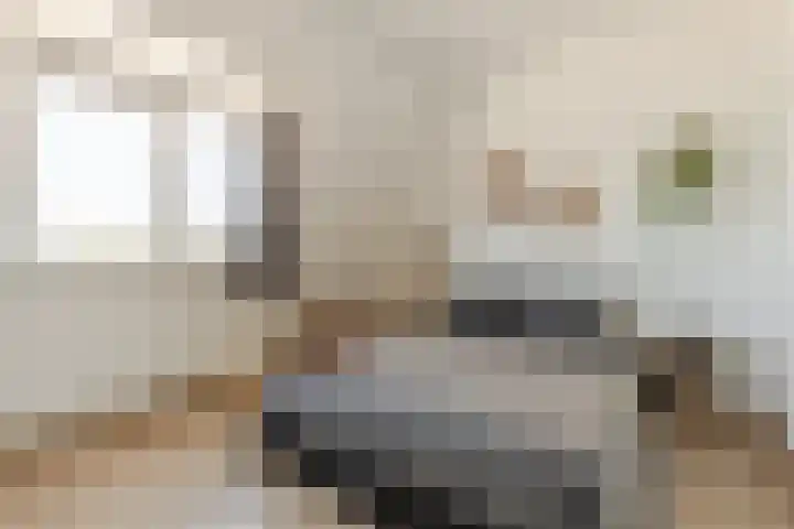 Kedoestraat 38 Haarlem thumbnail 24
