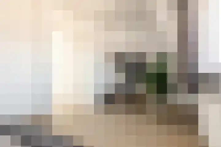 Kedoestraat 38 Haarlem thumbnail 25