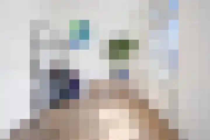 Kedoestraat 6 Haarlem thumbnail 32