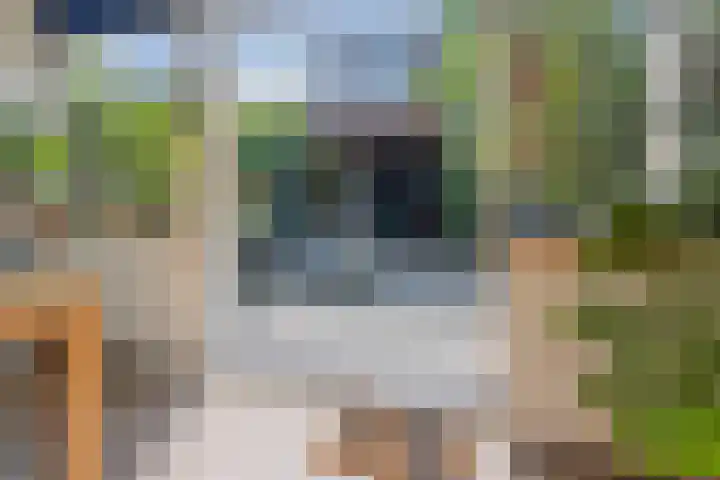 Kedoestraat 6 Haarlem thumbnail 8