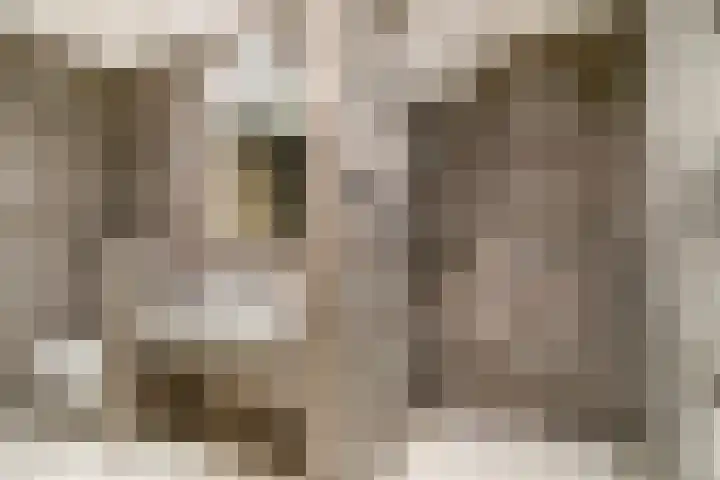 Keefheuvel 13 Liempde thumbnail 23