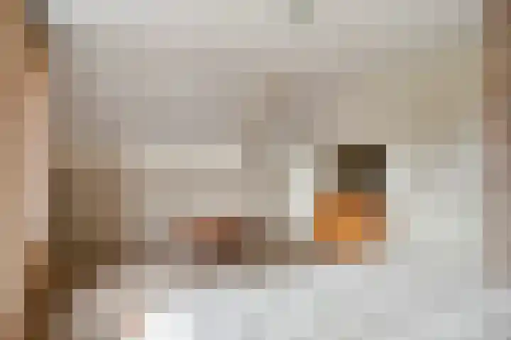Keefheuvel 13 Liempde thumbnail 31