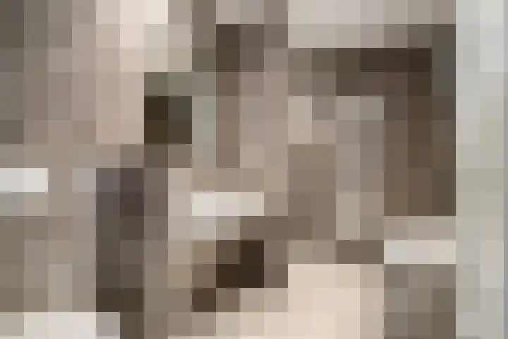 Keefheuvel 13 Liempde thumbnail 4