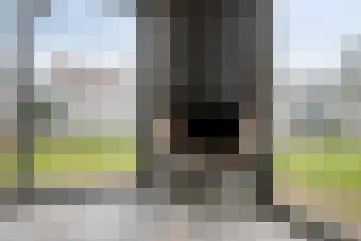 Keefheuvel 13 Liempde thumbnail 40