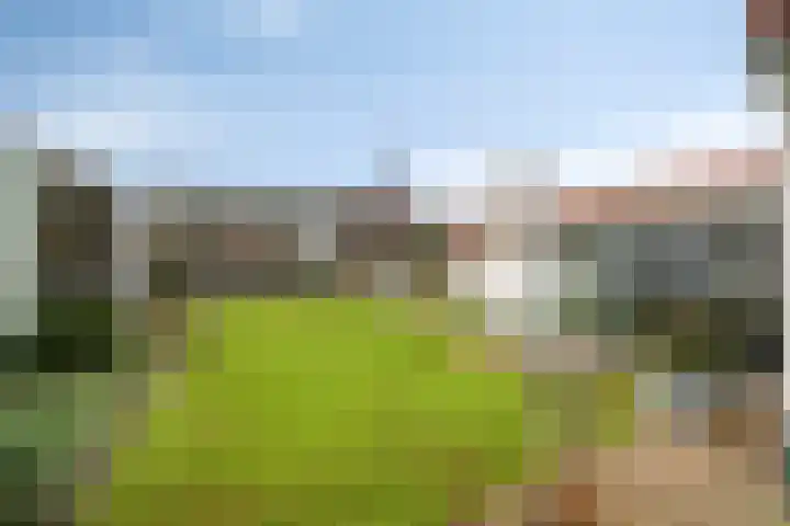 Keefheuvel 13 Liempde thumbnail 50