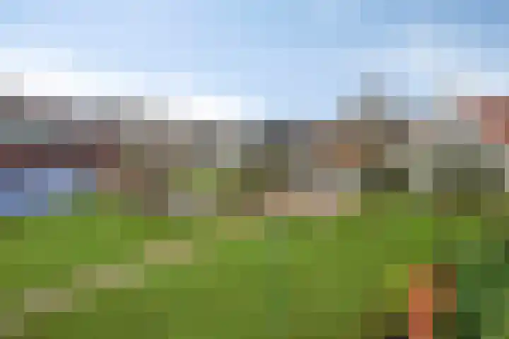 Keefheuvel 13 Liempde thumbnail 52