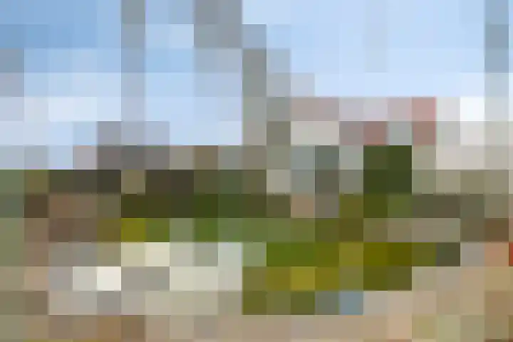 Keefheuvel 13 Liempde thumbnail 60