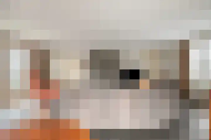 Keefheuvel 13 Liempde thumbnail 9