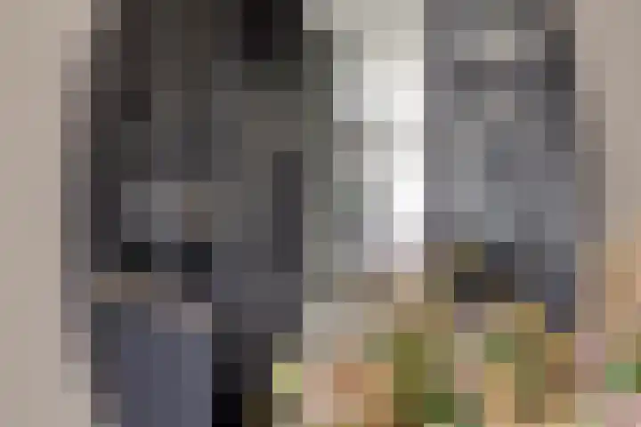 Keefheuvel 36 Liempde thumbnail 13