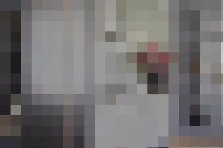 Keefheuvel 36 Liempde thumbnail 15