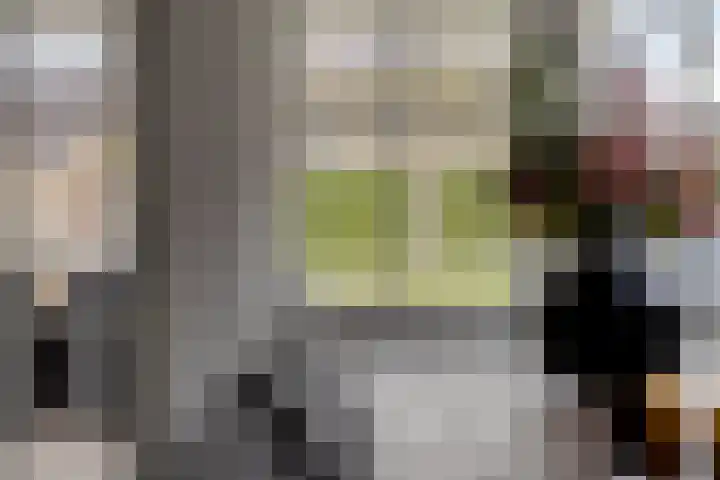 Keefheuvel 36 Liempde thumbnail 26