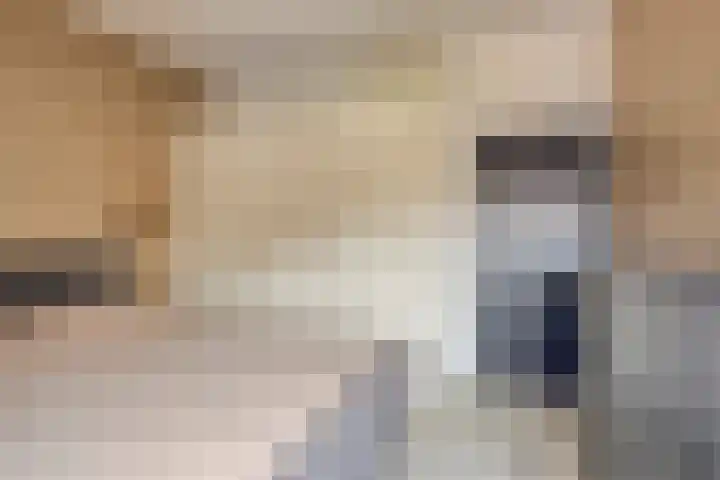 Keefheuvel 36 Liempde thumbnail 33