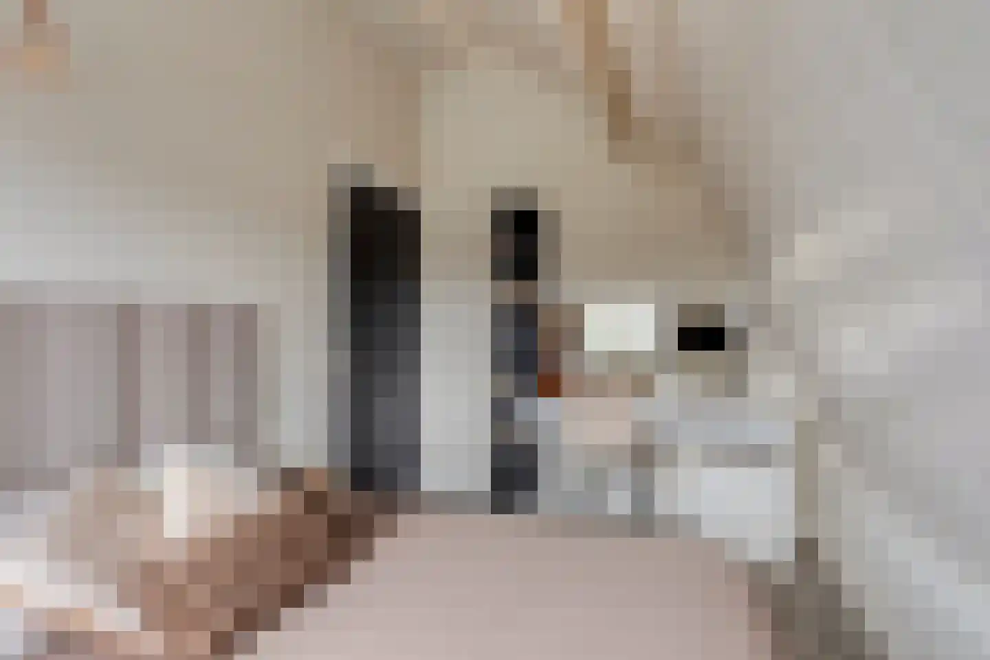 Keefheuvel 36 Liempde thumbnail 36