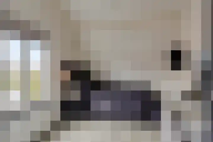 Keefheuvel 36 Liempde thumbnail 37