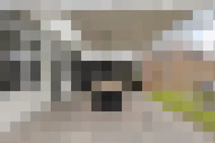 Keefheuvel 36 Liempde thumbnail 45