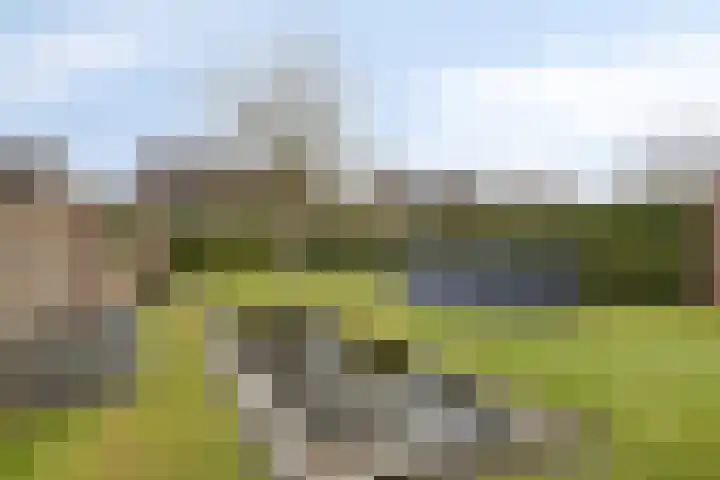 Keefheuvel 36 Liempde thumbnail 47