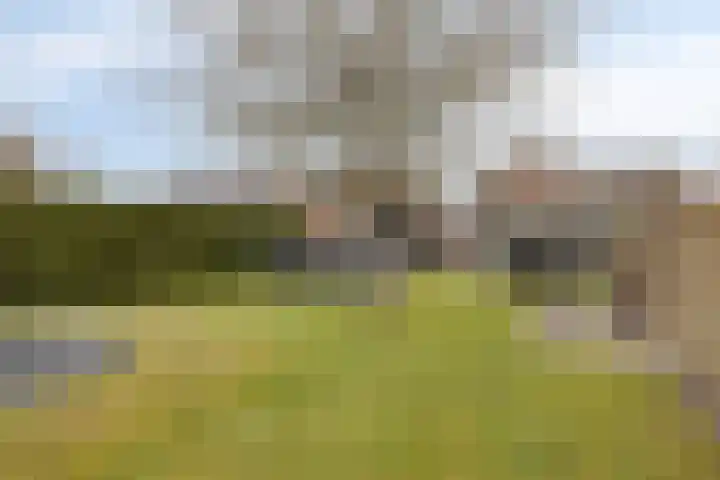 Keefheuvel 36 Liempde thumbnail 48