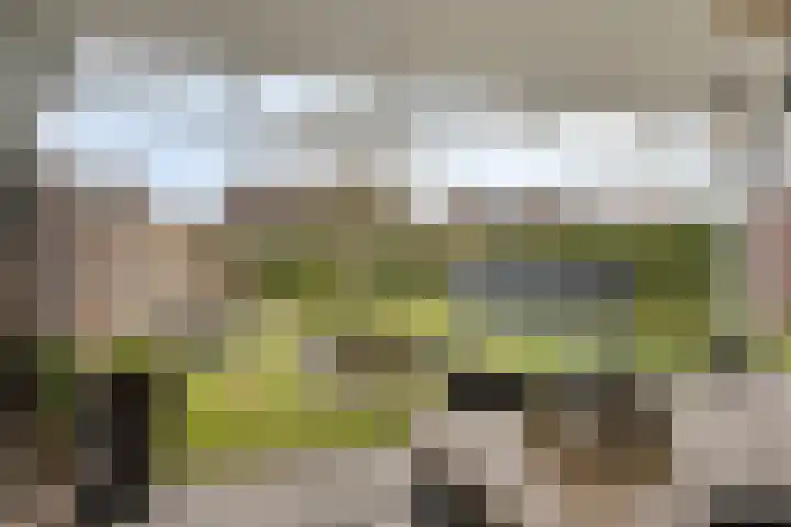 Keefheuvel 36 Liempde thumbnail 5