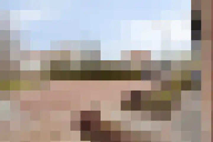 Keefheuvel 36 Liempde thumbnail 58