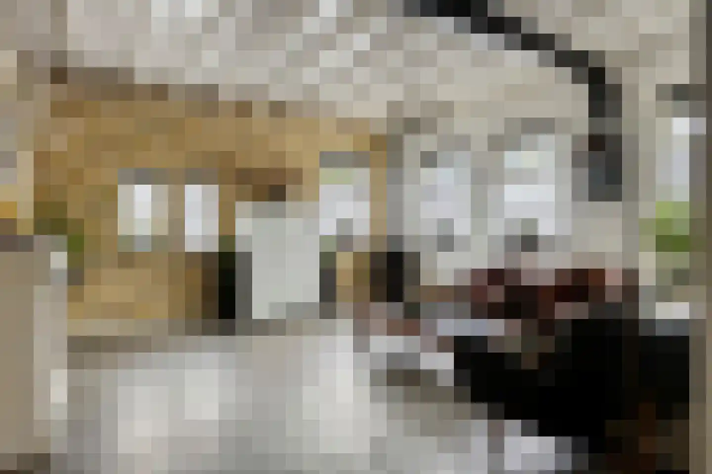 Keefheuvel 5 Liempde thumbnail 11