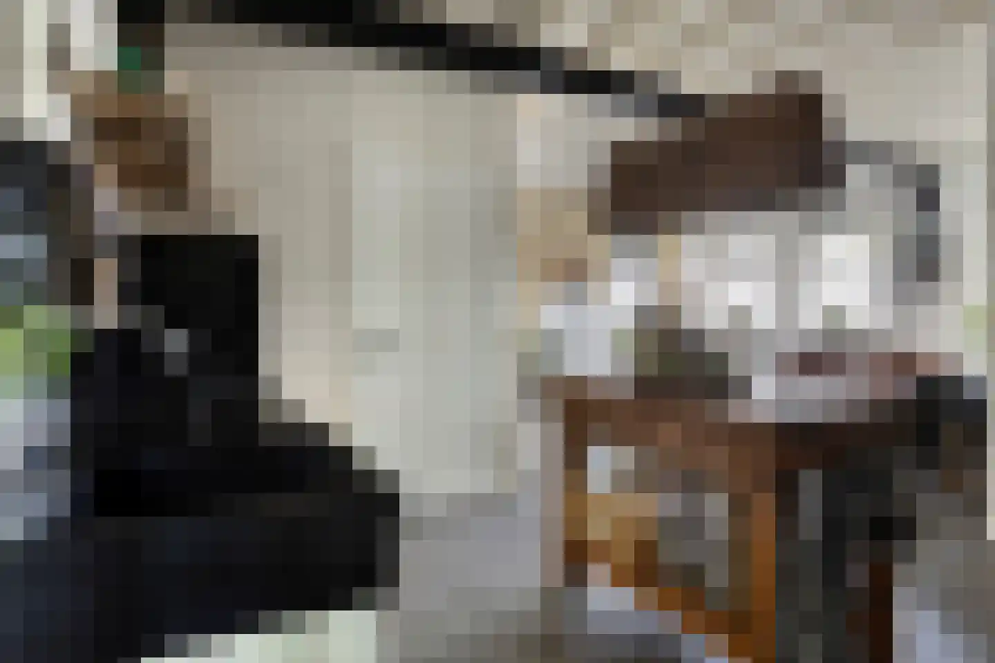 Keefheuvel 5 Liempde thumbnail 16
