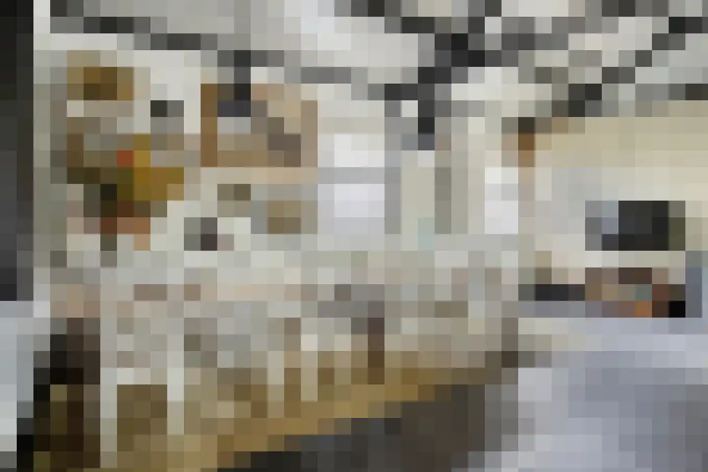Keefheuvel 5 Liempde thumbnail 33