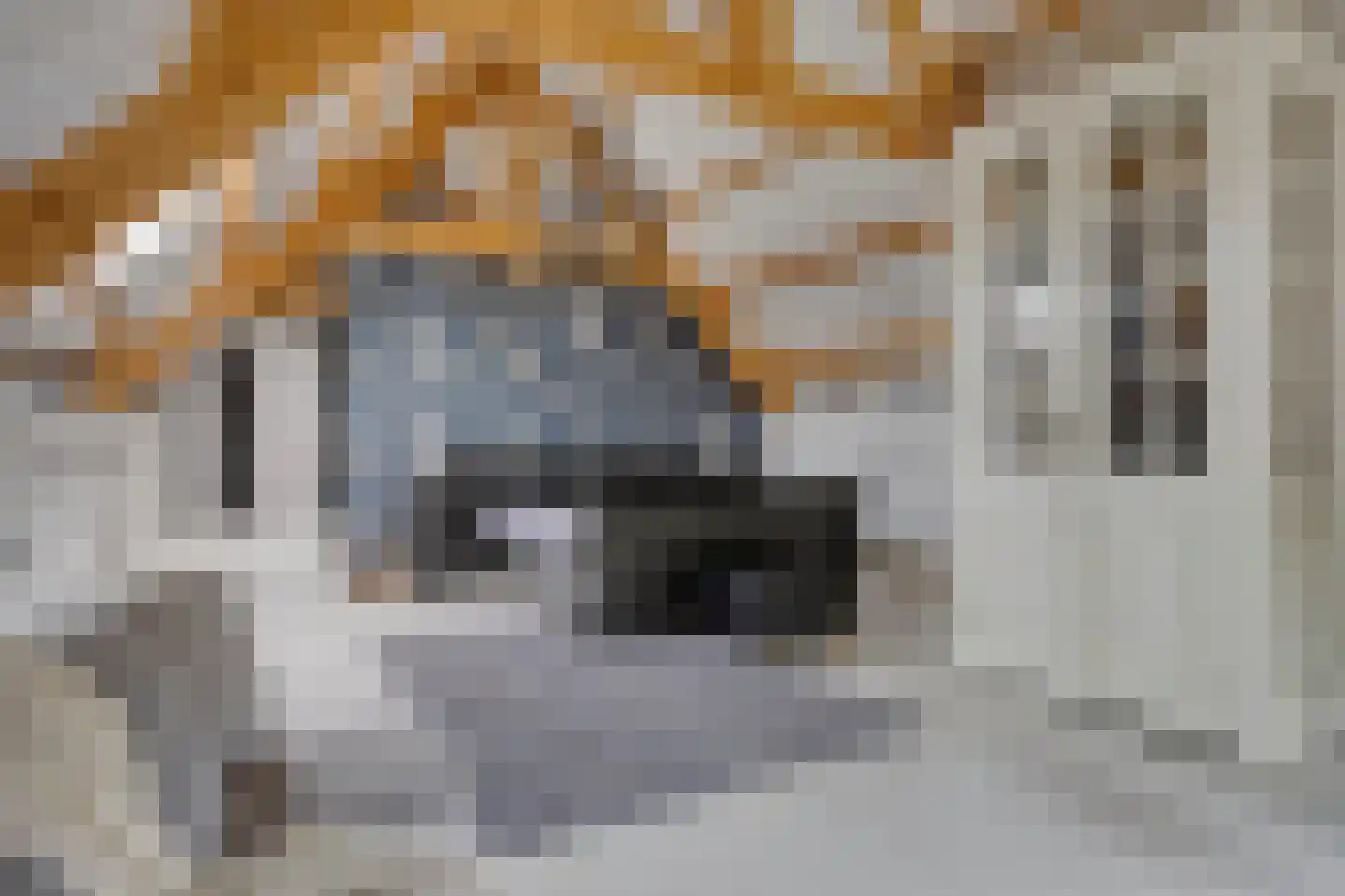 Keefheuvel 5 Liempde thumbnail 44
