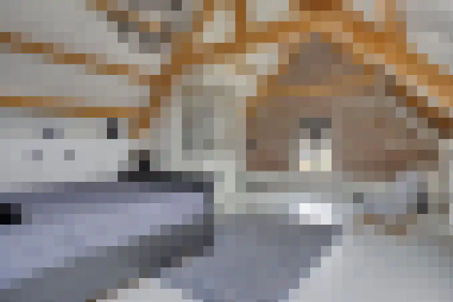 Keefheuvel 5 Liempde thumbnail 45