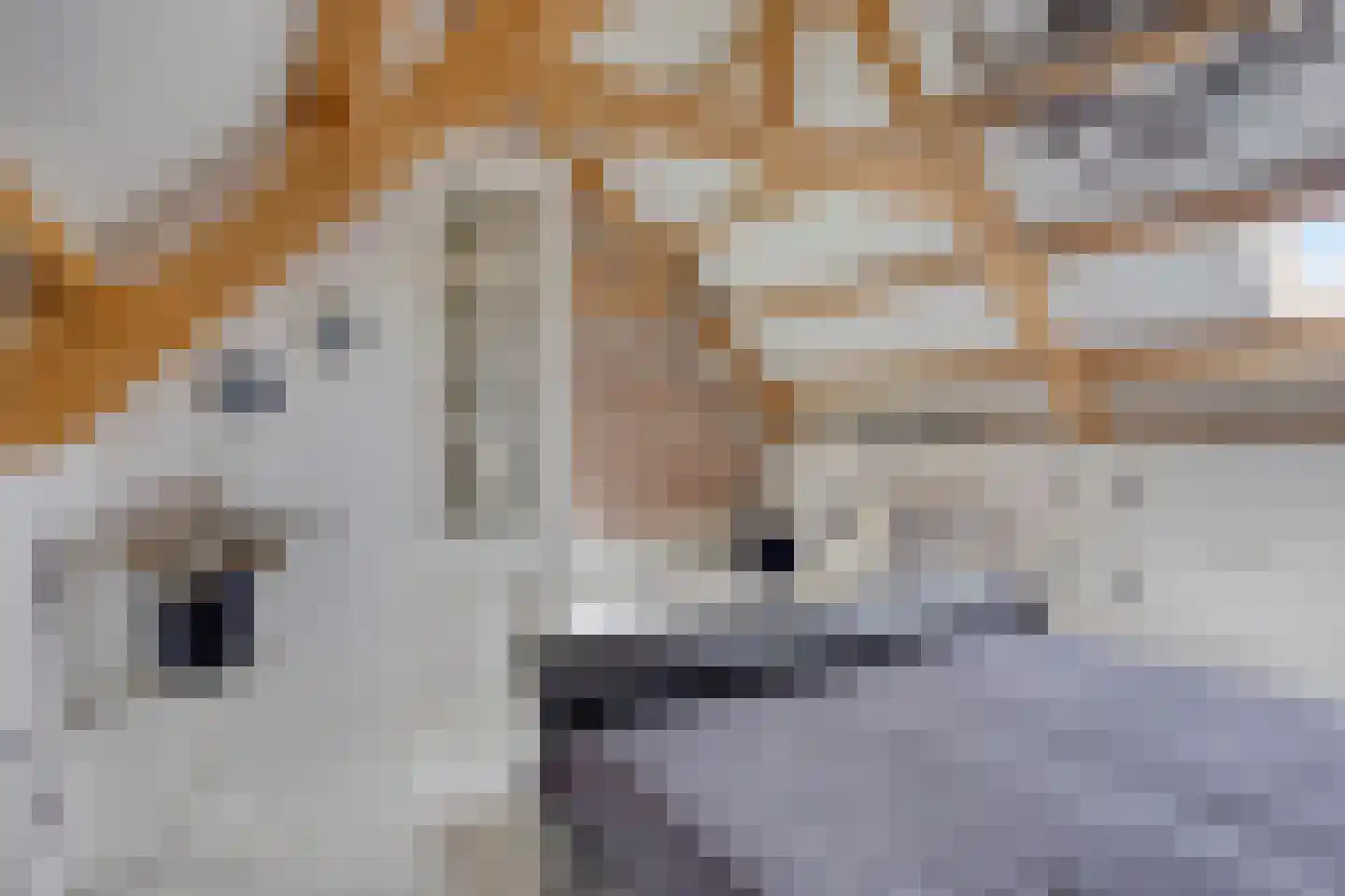 Keefheuvel 5 Liempde thumbnail 47