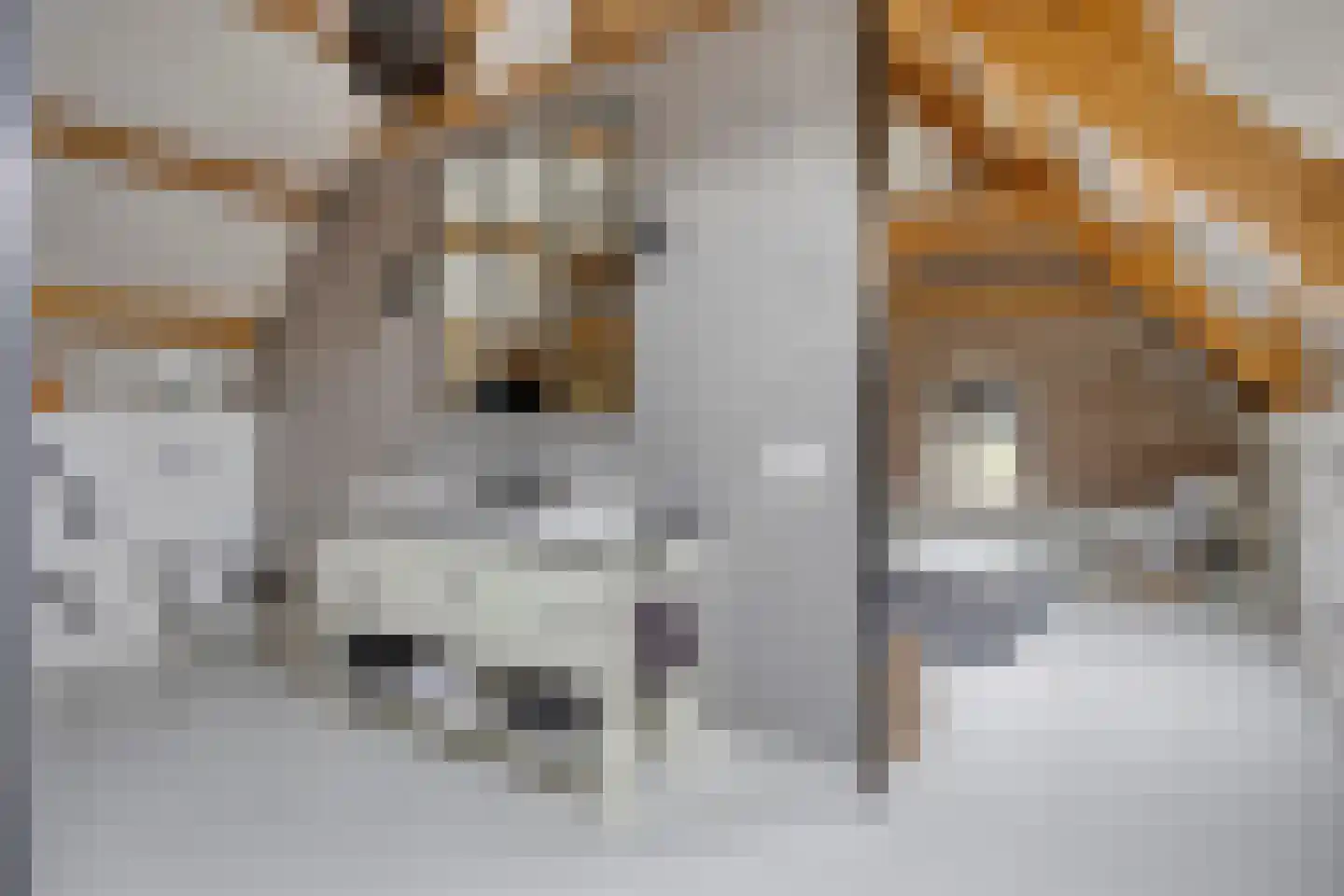 Keefheuvel 5 Liempde thumbnail 49