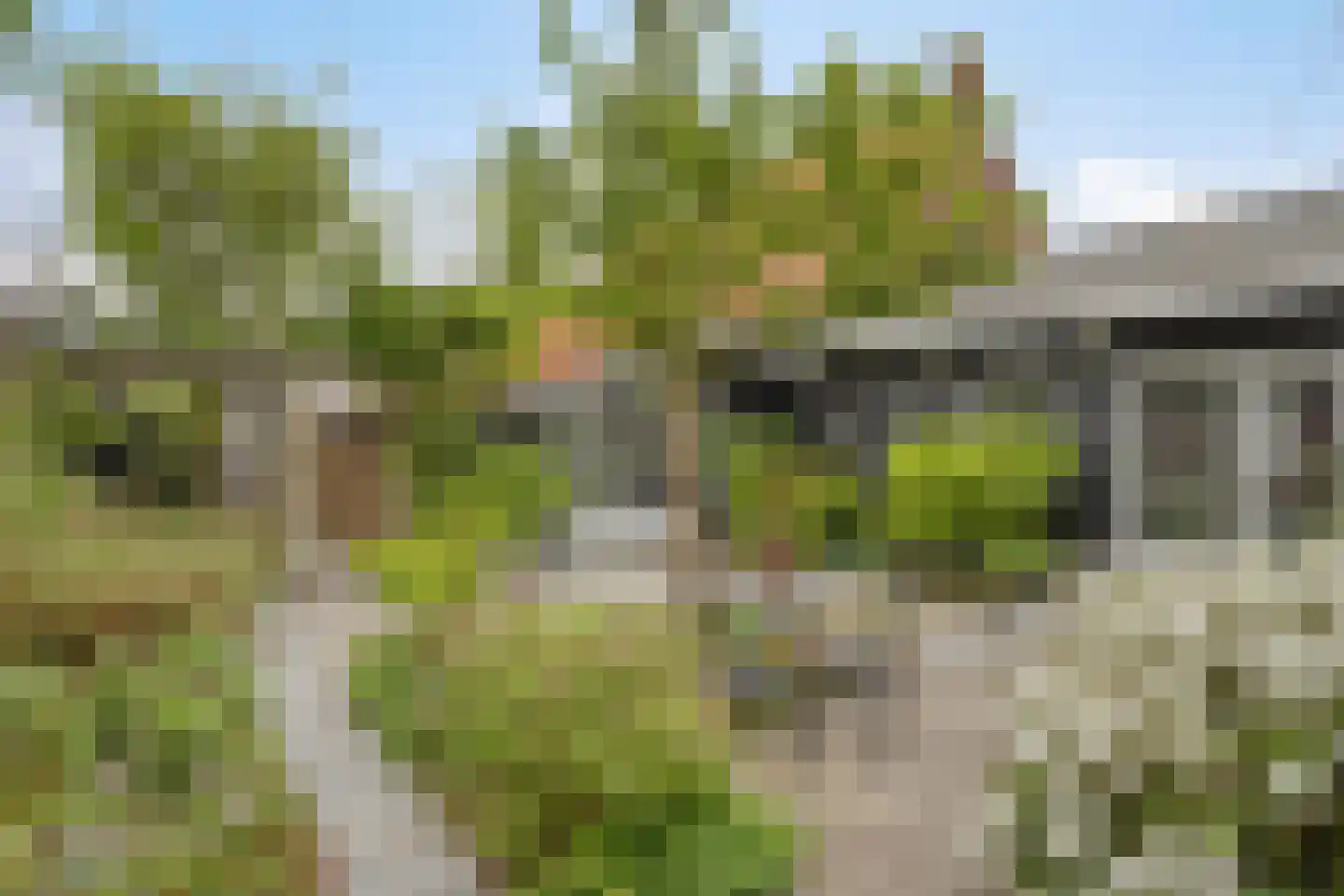 Keefheuvel 5 Liempde thumbnail 52