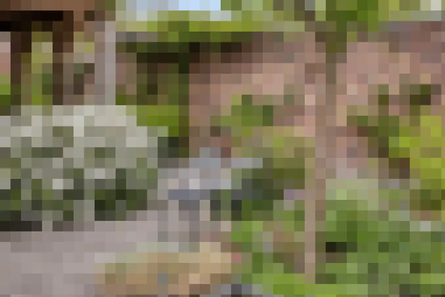 Keefheuvel 5 Liempde thumbnail 57
