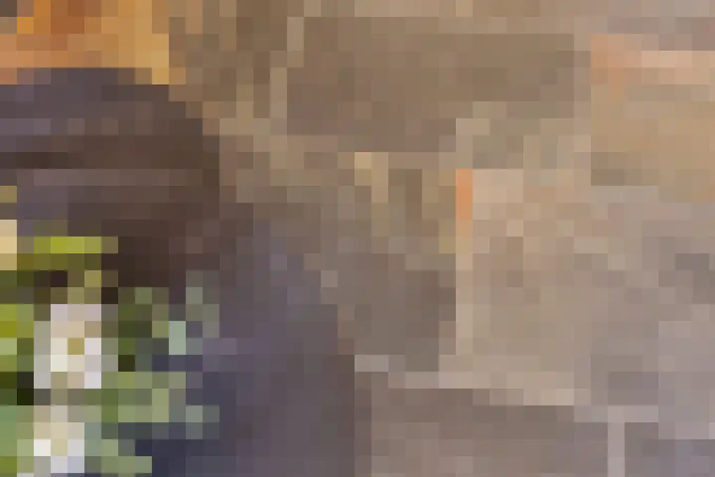Keefheuvel 76 Liempde thumbnail 10