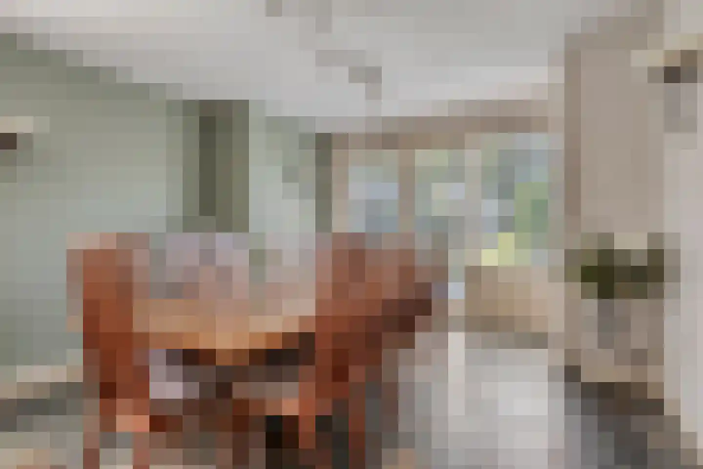 Keefheuvel 76 Liempde thumbnail 13