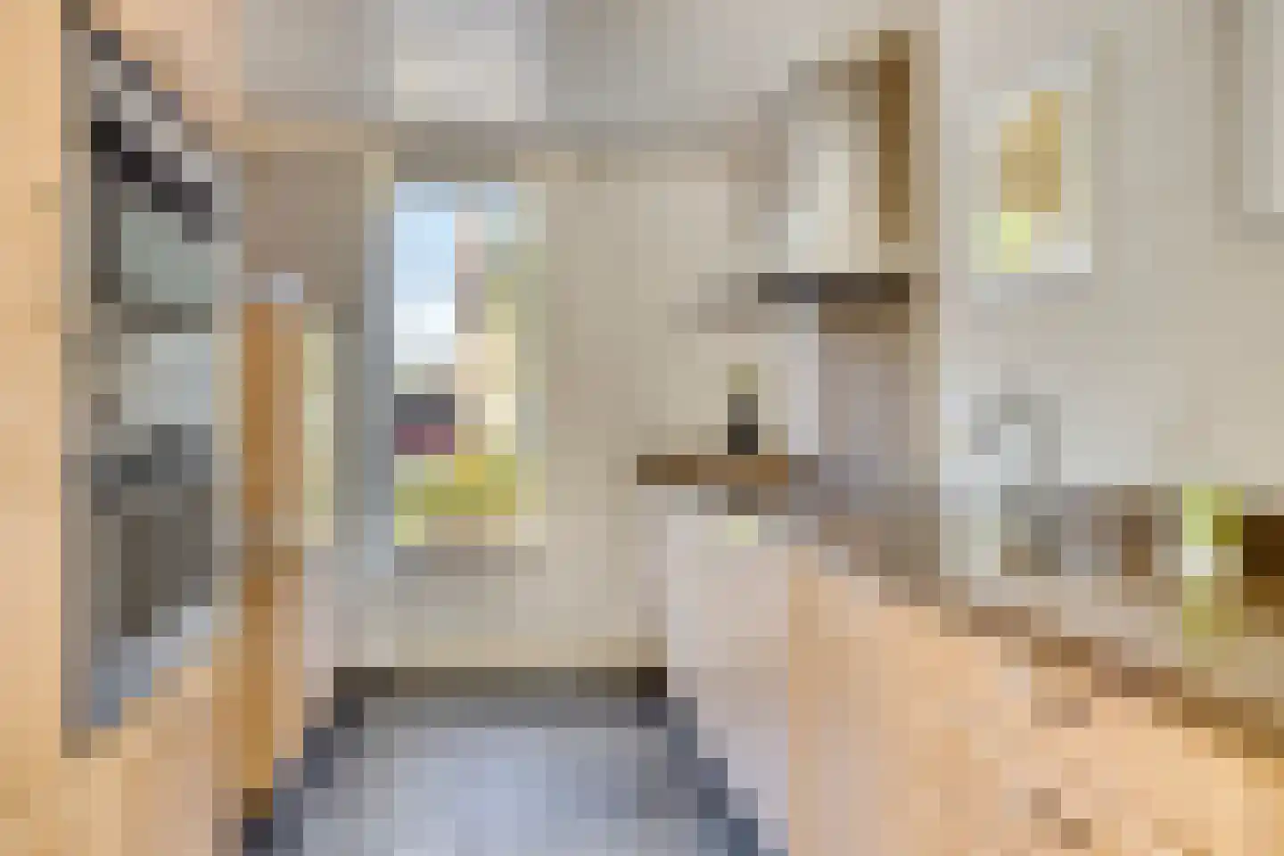 Keefheuvel 76 Liempde thumbnail 17