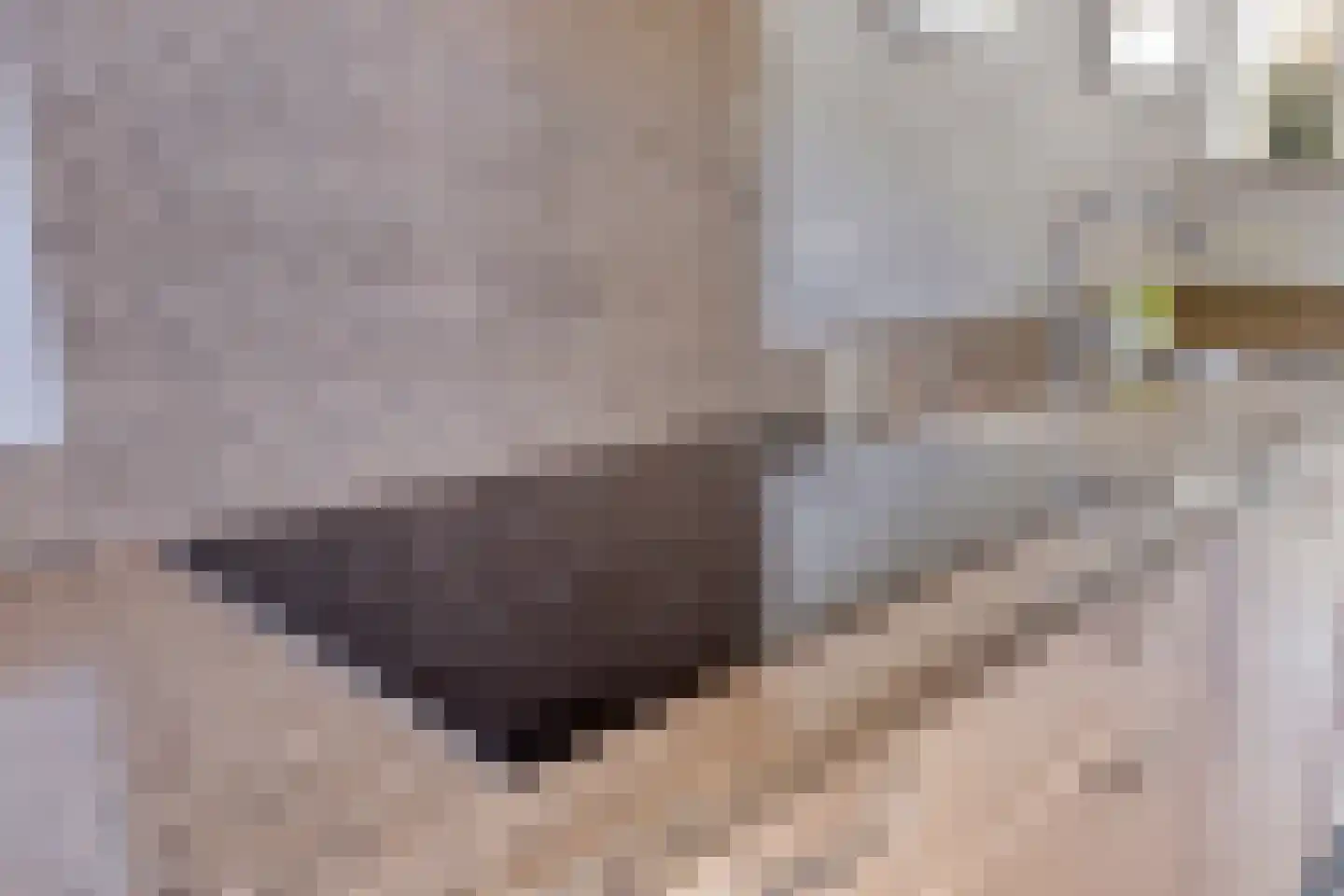 Keefheuvel 76 Liempde thumbnail 18
