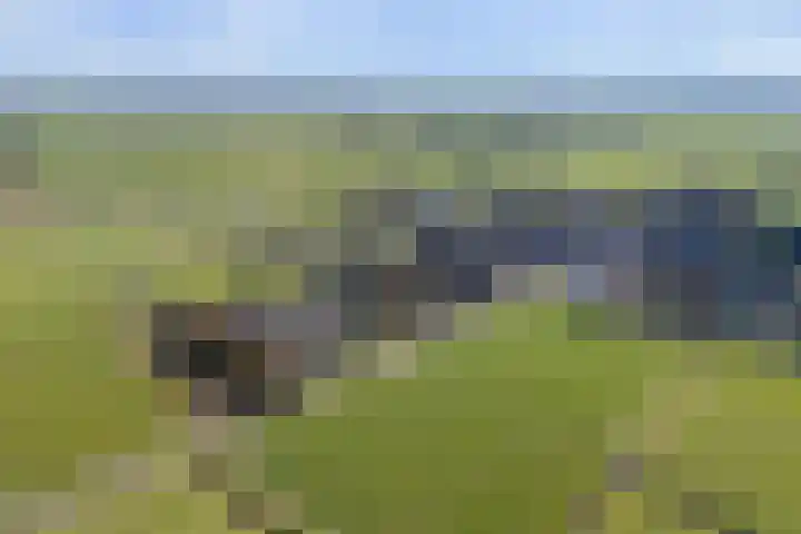 Keegensterweg 23 Burum thumbnail 4