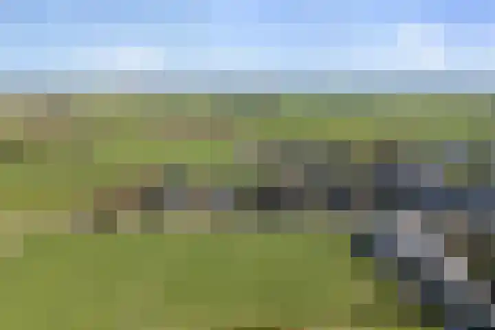 Keegensterweg 23 Burum thumbnail 5
