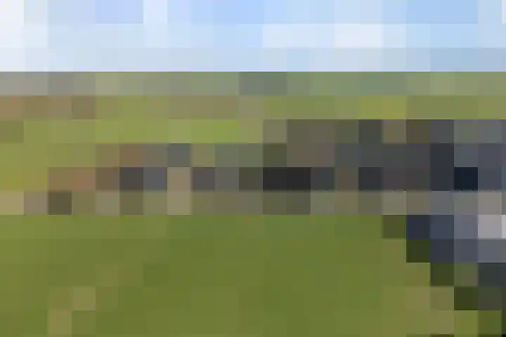 Keegensterweg 23 Burum thumbnail 6