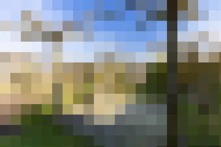 Keegensterweg 23 Burum thumbnail 69