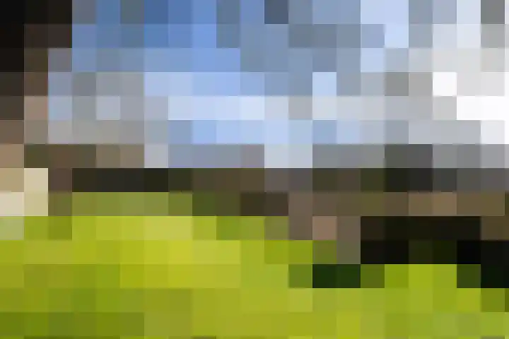 Keegensterweg 23 Burum thumbnail 73
