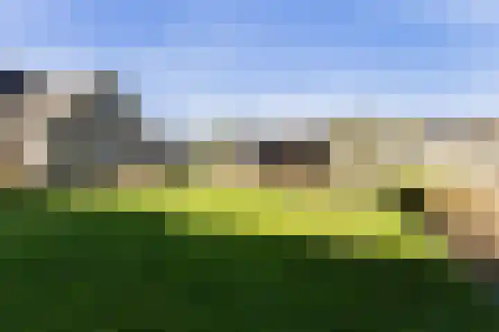 Keegensterweg 23 Burum thumbnail 74