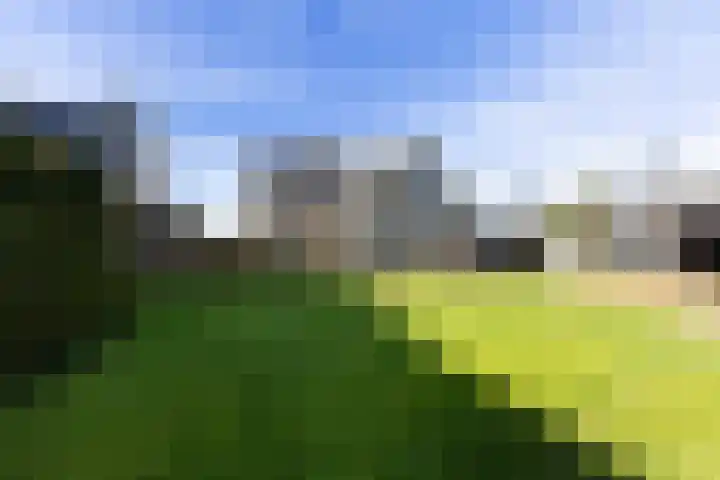 Keegensterweg 23 Burum thumbnail 76
